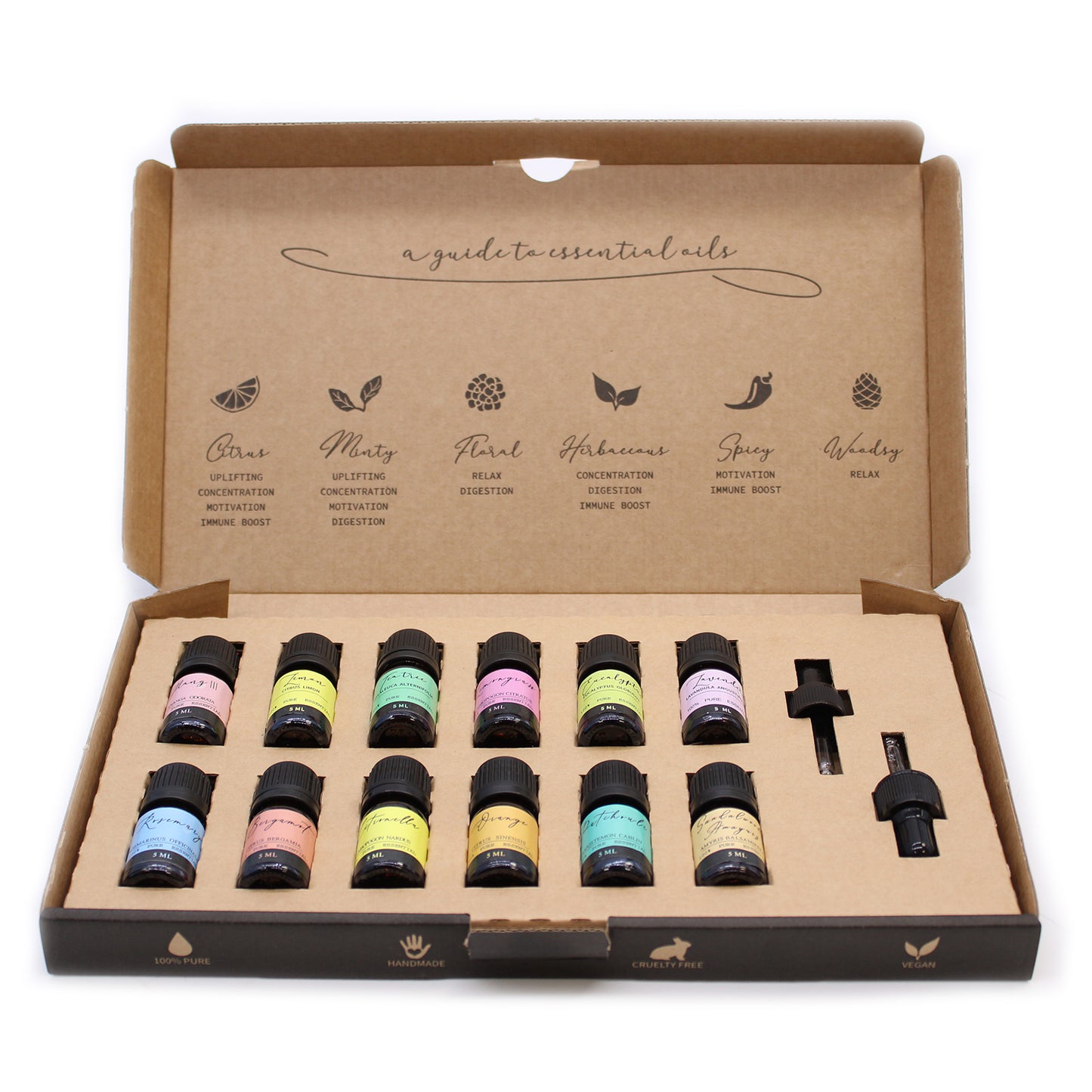 Aromatherapy Essential Oil Set - Ätherische Öle - Die Top 12